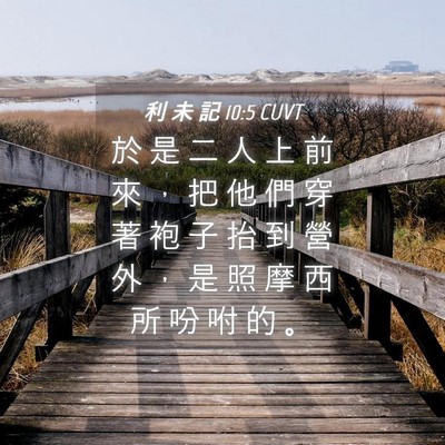 Picture 04 - 利 未 記 10:5 CUVT - 於 是 二 人 上 前 來 ， 把 他 們 穿 - Bible Verse Picture