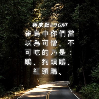 Picture 04 - 利 未 記 11:13 CUVT - 雀 鳥 中 你 們 當 以 為 可 憎 、 不 - Bible Verse Picture