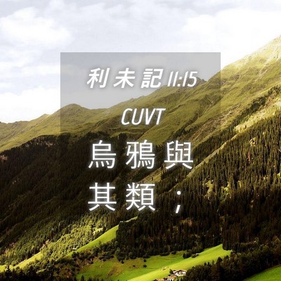 Picture 04 - 利 未 記 11:15 CUVT - 烏 鴉 與 其 類 - Bible Verse Picture