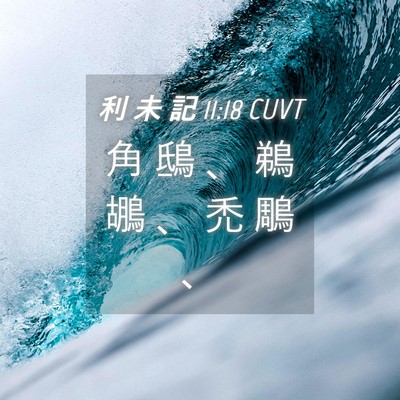 Picture 04 - 利 未 記 11:18 CUVT - 角 鴟 、 鵜 鶘 、 禿 鵰 - Bible Verse Picture