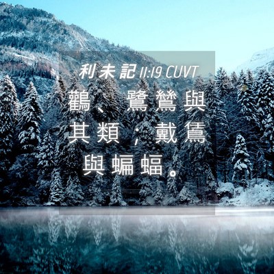 Picture 04 - 利 未 記 11:19 CUVT - 鸛 、 鷺 鷥 與 其 類 ； 戴 鵀 與 蝙 - Bible Verse Picture