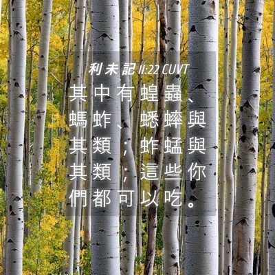 Picture 04 - 利 未 記 11:22 CUVT - 其 中 有 蝗 蟲 、 螞 蚱 、 蟋 蟀 與 - Bible Verse Picture