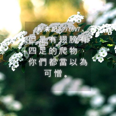 Picture 04 - 利 未 記 11:23 CUVT - 但 是 有 翅 膀 有 四 足 的 爬 物 ， - Bible Verse Picture