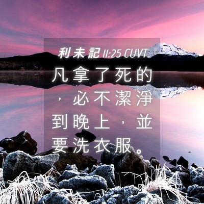 Picture 04 - 利 未 記 11:25 CUVT - 凡 拿 了 死 的 ， 必 不 潔 淨 到 晚 - Bible Verse Picture