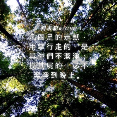 Picture 04 - 利 未 記 11:27 CUVT - 凡 四 足 的 走 獸 ， 用 掌 行 走 的 - Bible Verse Picture