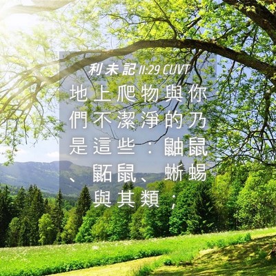 Picture 04 - 利 未 記 11:29 CUVT - 地 上 爬 物 與 你 們 不 潔 淨 的 乃 - Bible Verse Picture