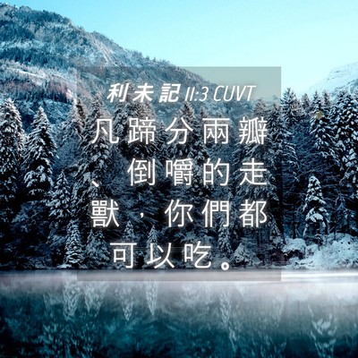 Picture 04 - 利 未 記 11:3 CUVT - 凡 蹄 分 兩 瓣 、 倒 嚼 的 走 獸 ， - Bible Verse Picture