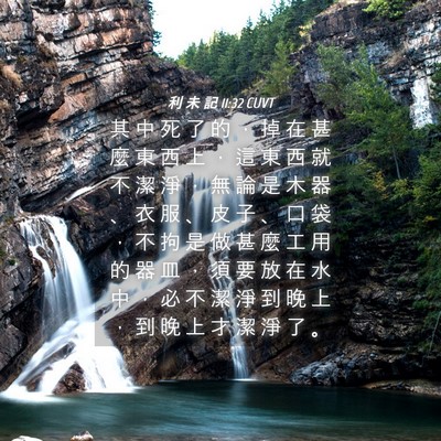 Picture 04 - 利 未 記 11:32 CUVT - 其 中 死 了 的 ， 掉 在 甚 麼 東 西 - Bible Verse Picture