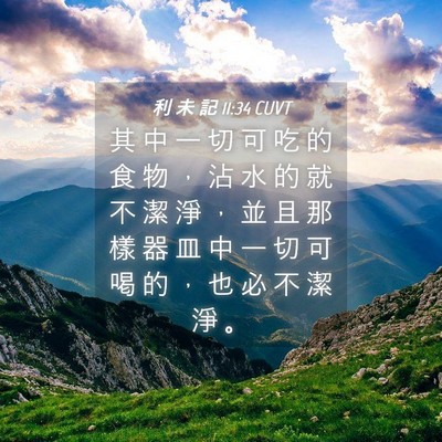 Picture 04 - 利 未 記 11:34 CUVT - 其 中 一 切 可 吃 的 食 物 ， 沾 水 - Bible Verse Picture