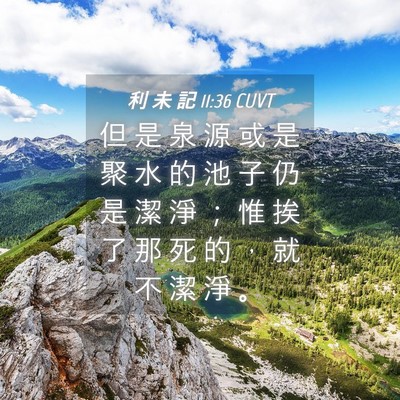 Picture 04 - 利 未 記 11:36 CUVT - 但 是 泉 源 或 是 聚 水 的 池 子 仍 - Bible Verse Picture