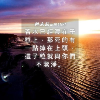 Picture 04 - 利 未 記 11:38 CUVT - 若 水 已 經 澆 在 子 粒 上 ， 那 死 - Bible Verse Picture