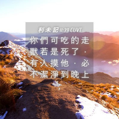 Picture 04 - 利 未 記 11:39 CUVT - 你 們 可 吃 的 走 獸 若 是 死 了 ， - Bible Verse Picture