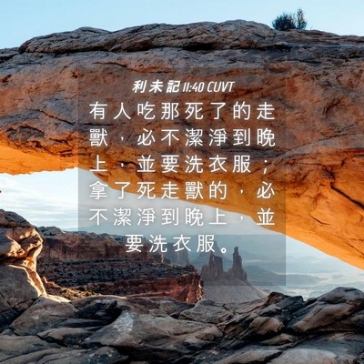 Picture 04 - 利 未 記 11:40 CUVT - 有 人 吃 那 死 了 的 走 獸 ， 必 不 - Bible Verse Picture