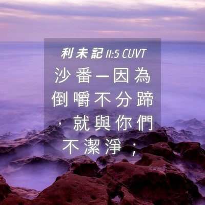 Picture 04 - 利 未 記 11:5 CUVT - 沙 番 ─ 因 為 倒 嚼 不 分 蹄 ， 就 - Bible Verse Picture