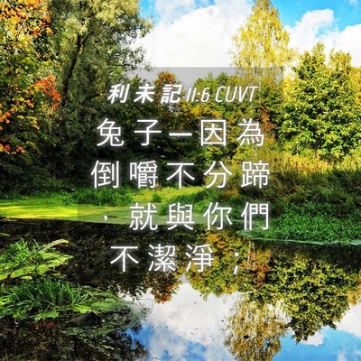 Picture 04 - 利 未 記 11:6 CUVT - 兔 子 ─ 因 為 倒 嚼 不 分 蹄 ， 就 - Bible Verse Picture