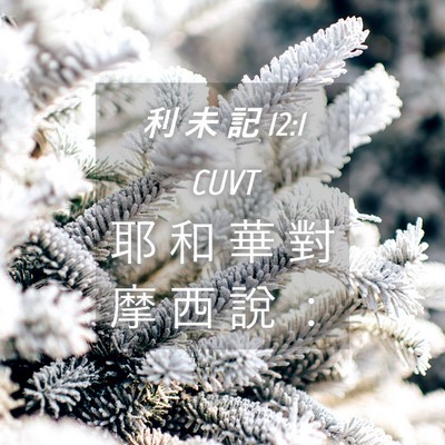 Picture 04 - 利 未 記 12:1 CUVT - 耶 和 華 對 摩 西 說 - Bible Verse Picture