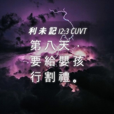 Picture 04 - 利 未 記 12:3 CUVT - 第 八 天 ， 要 給 嬰 孩 行 割 禮 - Bible Verse Picture