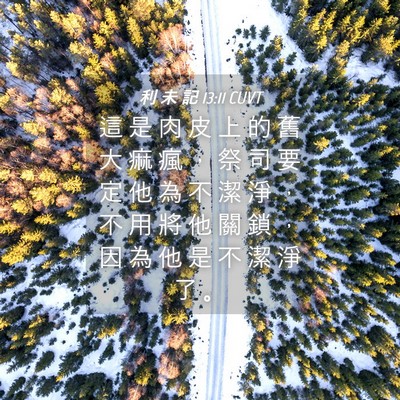 Picture 04 - 利 未 記 13:11 CUVT - 這 是 肉 皮 上 的 舊 大 痲 瘋 ， 祭 - Bible Verse Picture