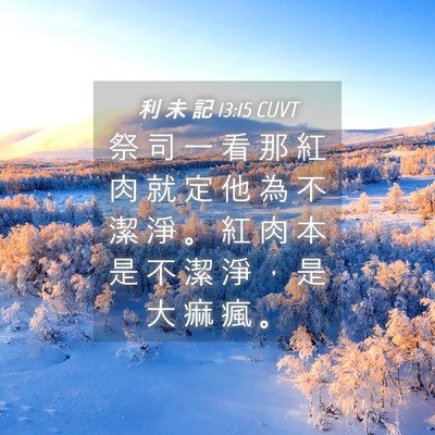Picture 04 - 利 未 記 13:15 CUVT - 祭 司 一 看 那 紅 肉 就 定 他 為 不 - Bible Verse Picture