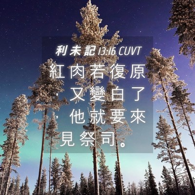 Picture 04 - 利 未 記 13:16 CUVT - 紅 肉 若 復 原 ， 又 變 白 了 ， 他 - Bible Verse Picture