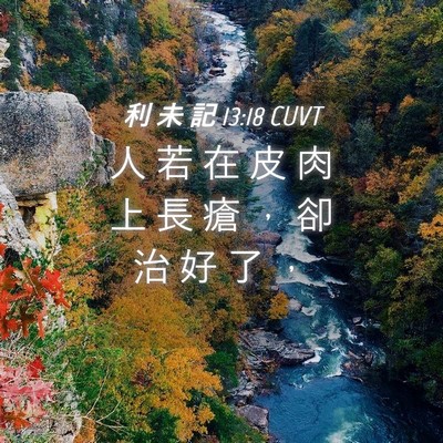 Picture 04 - 利 未 記 13:18 CUVT - 人 若 在 皮 肉 上 長 瘡 ， 卻 治 好 - Bible Verse Picture