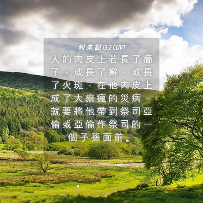 Picture 04 - 利 未 記 13:2 CUVT - 人 的 肉 皮 上 若 長 了 癤 子 ， 或 - Bible Verse Picture