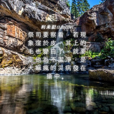 Picture 04 - 利 未 記 13:20 CUVT - 祭 司 要 察 看 ， 若 現 象 窪 於 皮 - Bible Verse Picture