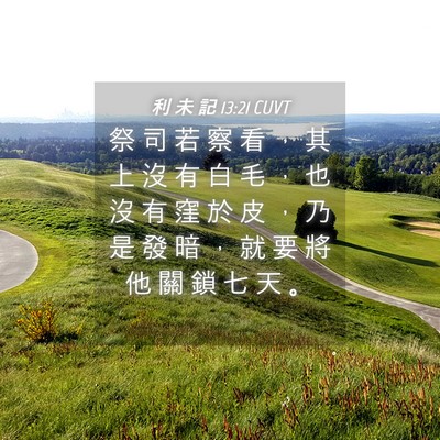 Picture 04 - 利 未 記 13:21 CUVT - 祭 司 若 察 看 ， 其 上 沒 有 白 毛 - Bible Verse Picture