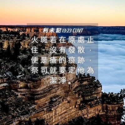 Picture 04 - 利 未 記 13:23 CUVT - 火 斑 若 在 原 處 止 住 ， 沒 有 發 - Bible Verse Picture
