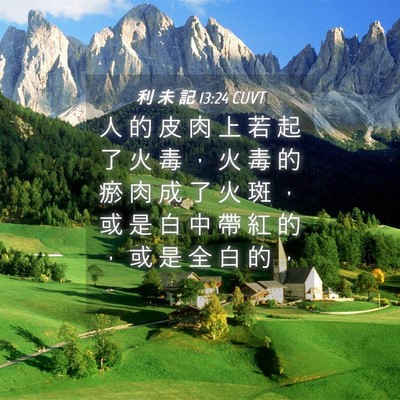 Picture 04 - 利 未 記 13:24 CUVT - 人 的 皮 肉 上 若 起 了 火 毒 ， 火 - Bible Verse Picture