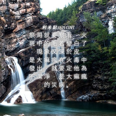 Picture 04 - 利 未 記 13:25 CUVT - 祭 司 就 要 察 看 ， 火 斑 中 的 毛 - Bible Verse Picture