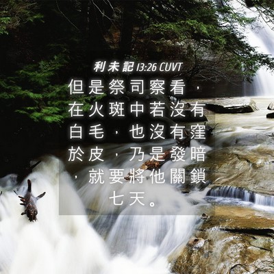Picture 04 - 利 未 記 13:26 CUVT - 但 是 祭 司 察 看 ， 在 火 斑 中 若 - Bible Verse Picture
