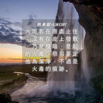 Picture 04 - 利 未 記 13:28 CUVT - 火 斑 若 在 原 處 止 住 ， 沒 有 在 - Bible Verse Picture