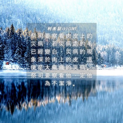 Picture 04 - 利 未 記 13:3 CUVT - 祭 司 要 察 看 肉 皮 上 的 災 病 ， - Bible Verse Picture