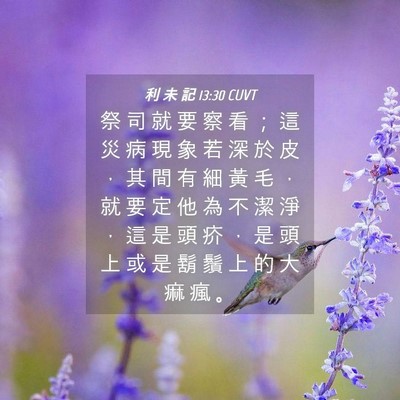 Picture 04 - 利 未 記 13:30 CUVT - 祭 司 就 要 察 看 ； 這 災 病 現 象 - Bible Verse Picture