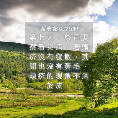 Picture 04 - 利 未 記 13:32 CUVT - 第 七 天 ， 祭 司 要 察 看 災 病 ， - Bible Verse Picture