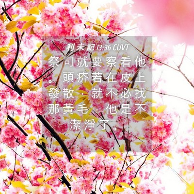 Picture 04 - 利 未 記 13:36 CUVT - 祭 司 就 要 察 看 他 。 頭 疥 若 在 - Bible Verse Picture