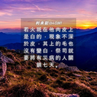 Picture 04 - 利 未 記 13:4 CUVT - 若 火 斑 在 他 肉 皮 上 是 白 的 ， - Bible Verse Picture