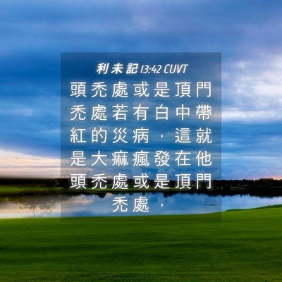 Picture 04 - 利 未 記 13:42 CUVT - 頭 禿 處 或 是 頂 門 禿 處 若 有 白 - Bible Verse Picture