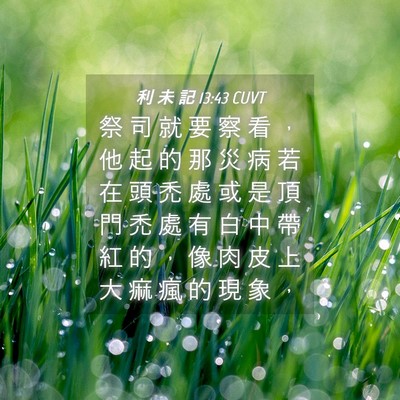 Picture 04 - 利 未 記 13:43 CUVT - 祭 司 就 要 察 看 ， 他 起 的 那 災 - Bible Verse Picture