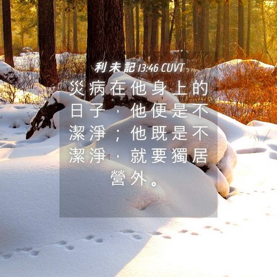 Picture 04 - 利 未 記 13:46 CUVT - 災 病 在 他 身 上 的 日 子 ， 他 便 - Bible Verse Picture