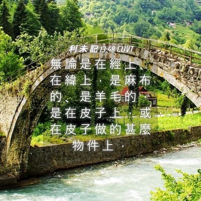 Picture 04 - 利 未 記 13:48 CUVT - 無 論 是 在 經 上 、 在 緯 上 ， 是 - Bible Verse Picture