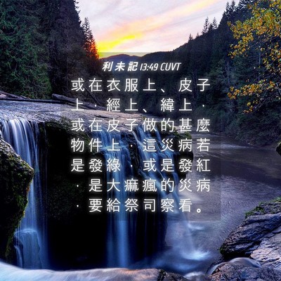 Picture 04 - 利 未 記 13:49 CUVT - 或 在 衣 服 上 、 皮 子 上 ， 經 上 - Bible Verse Picture