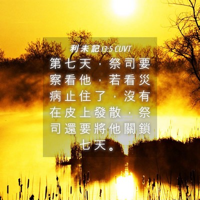 Picture 04 - 利 未 記 13:5 CUVT - 第 七 天 ， 祭 司 要 察 看 他 ， 若 - Bible Verse Picture