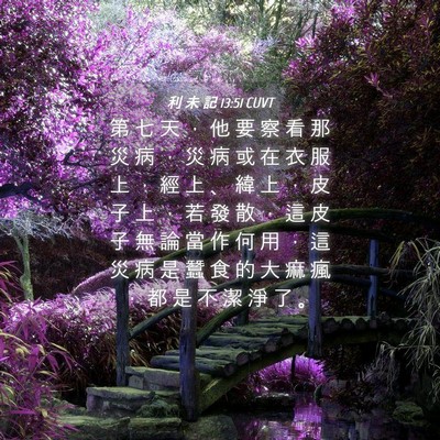 Picture 04 - 利 未 記 13:51 CUVT - 第 七 天 ， 他 要 察 看 那 災 病 ， - Bible Verse Picture