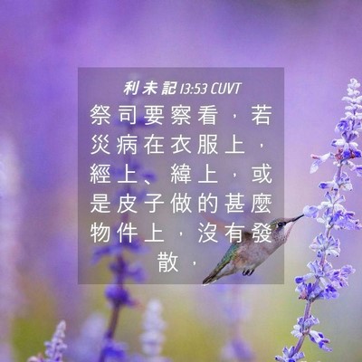 Picture 04 - 利 未 記 13:53 CUVT - 祭 司 要 察 看 ， 若 災 病 在 衣 服 - Bible Verse Picture