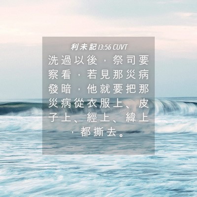 Picture 04 - 利 未 記 13:56 CUVT - 洗 過 以 後 ， 祭 司 要 察 看 ， 若 - Bible Verse Picture