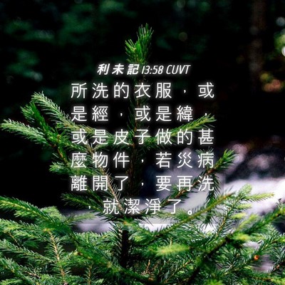 Picture 04 - 利 未 記 13:58 CUVT - 所 洗 的 衣 服 ， 或 是 經 ， 或 是 - Bible Verse Picture