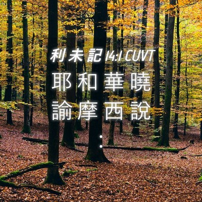 Picture 04 - 利 未 記 14:1 CUVT - 耶 和 華 曉 諭 摩 西 說 - Bible Verse Picture