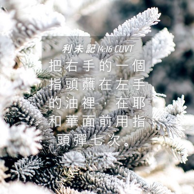 Picture 04 - 利 未 記 14:16 CUVT - 把 右 手 的 一 個 指 頭 蘸 在 左 手 - Bible Verse Picture